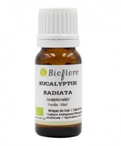 Eucalyptus expunged (Eucalyptus radiata) BIO, 50 ml